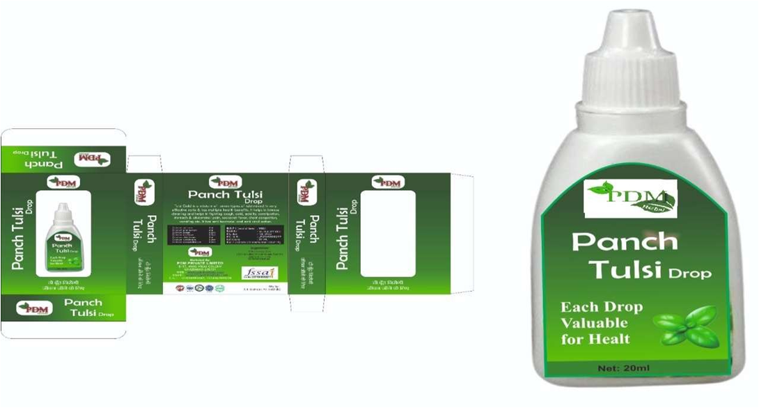 lorem ippsum dolor dummy