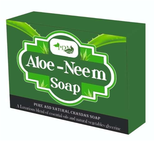 lorem ippsum dolor dummy